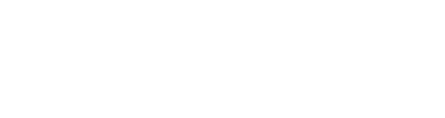 Vikingos